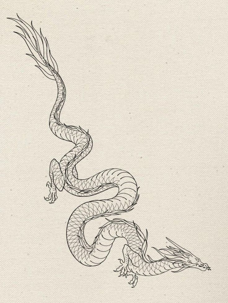 a black and white drawing of a dragon with long tail, sitting on top of a piece of paper