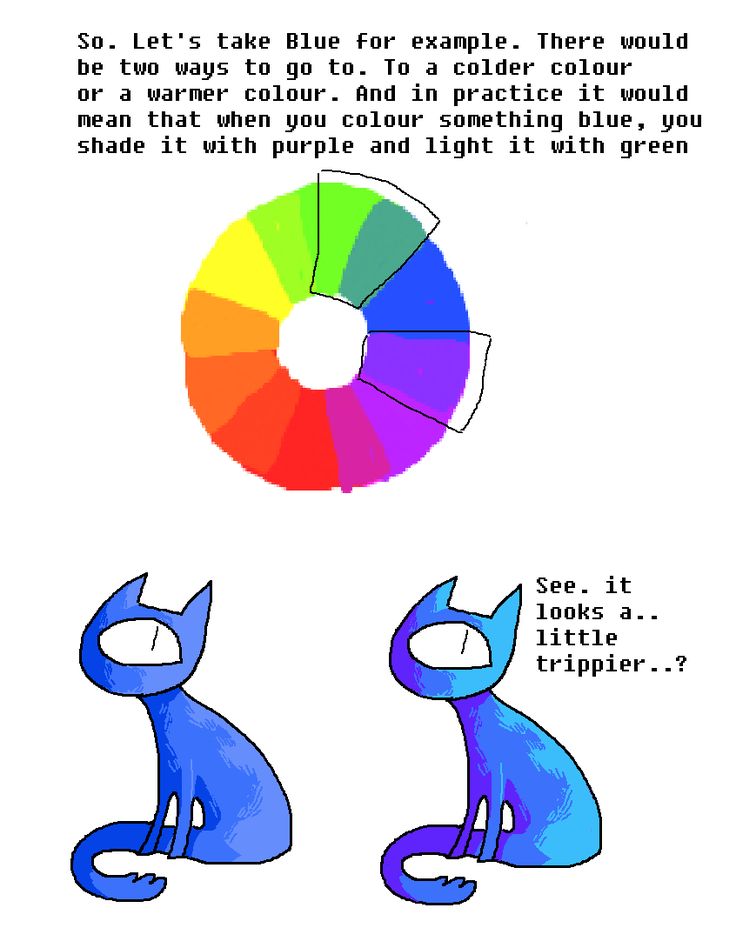 the color wheel with two cats sitting next to each other