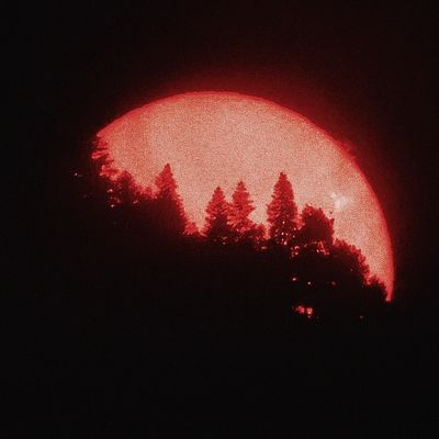 the sun is setting behind some trees in the dark night sky with red light on it