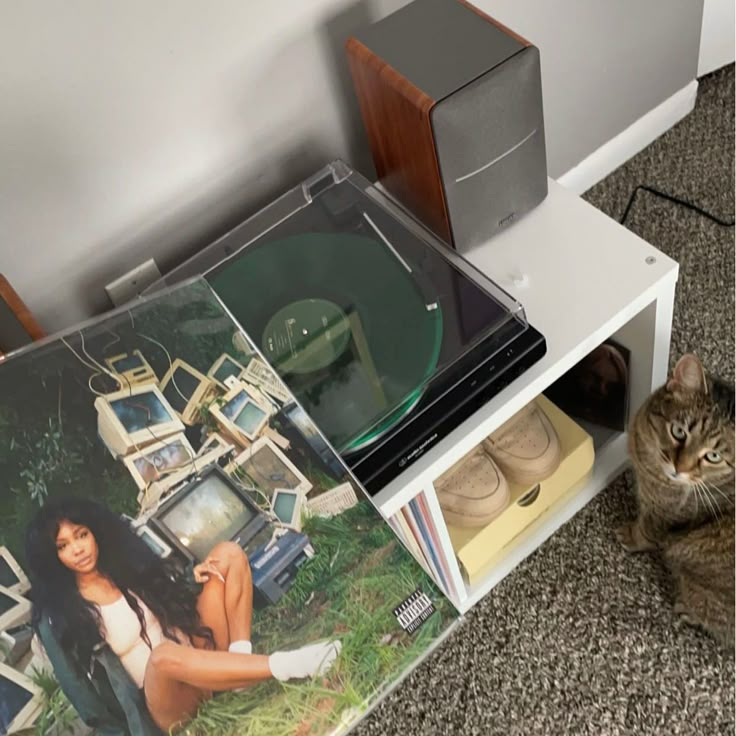 a cat sitting on the floor next to a record player and an album with a picture of a woman