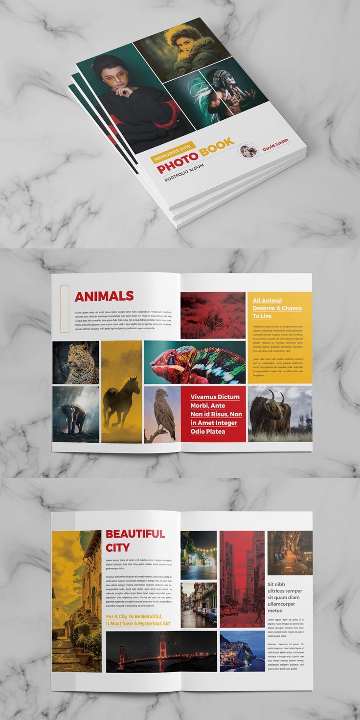 an open brochure with photos and text on it