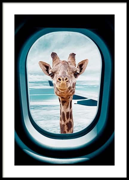 a giraffe looking out an airplane window at the cameraman's reflection