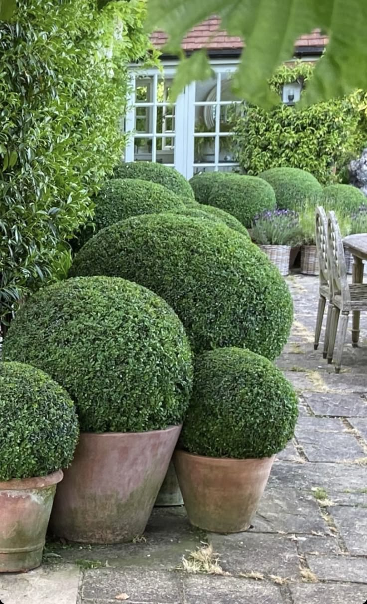 some very pretty potted plants in the middle of a patio with a table and chairs