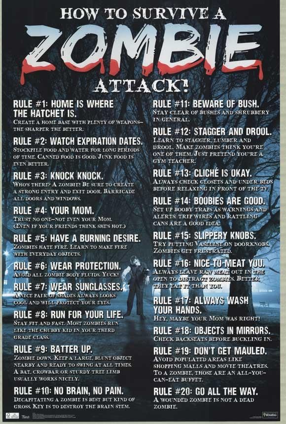 the poster for how to survive a zombie attack