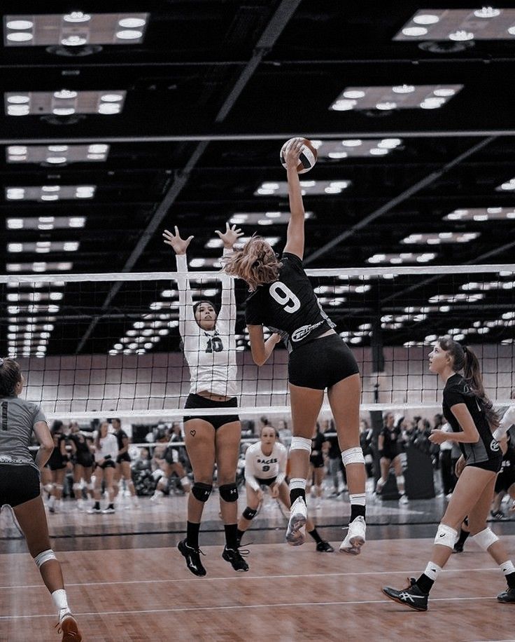 volleyball players in action on the court