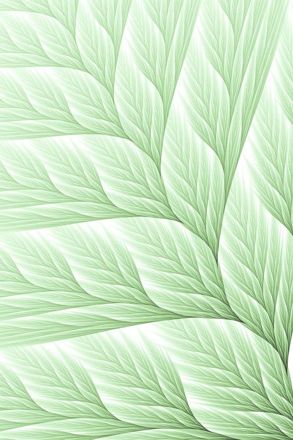 an abstract green and white background with leaves