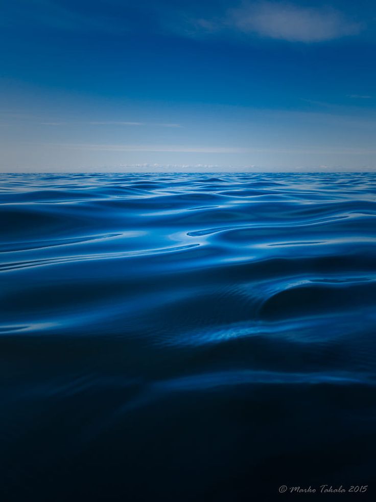 the water is very blue and it looks like they are floating in the ocean or on land