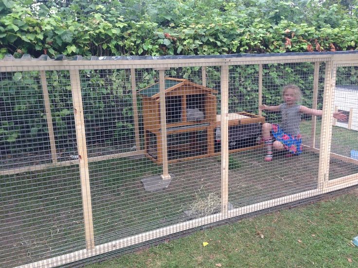 a little boy sitting on the ground in front of a chicken coop