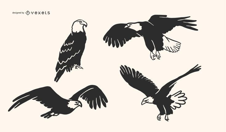 four black and white eagle silhouettes on a beige background, each with an individual's own image