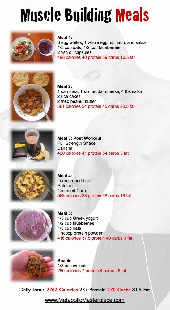 Muscle Building Meal Plan - I think I might try some of these! Muscle Building Meals, Muscle Meals, Muscle Building Meal Plan, Pasti Fit, Workout Meals, Exercise Muscle, Lifestyle Workout, Muscle Building Foods, Weight Gain Meals