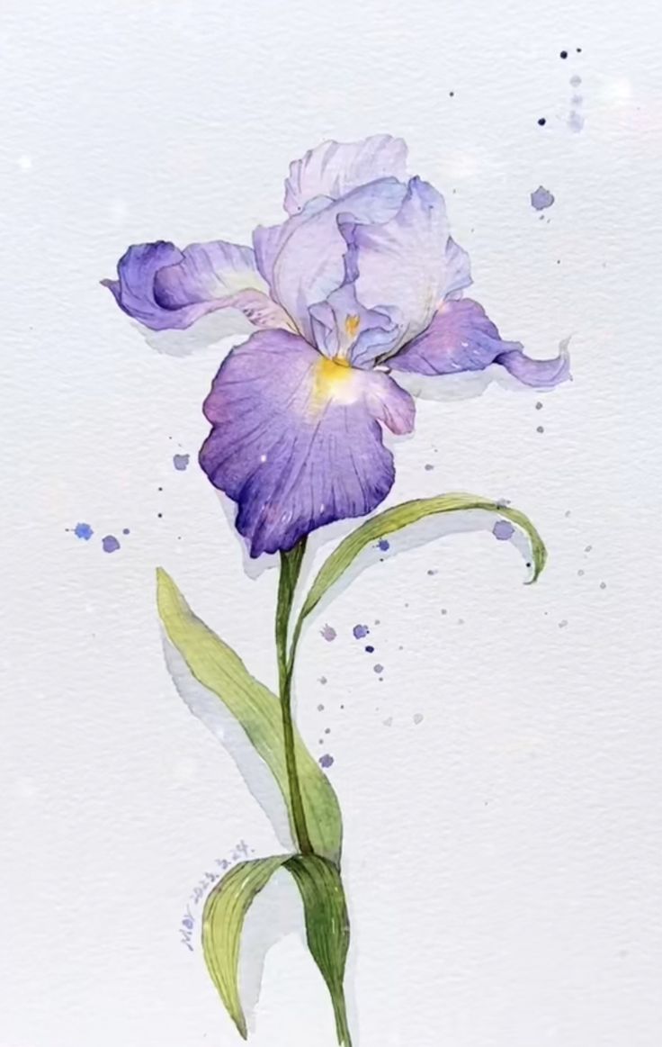 a watercolor painting of a purple flower