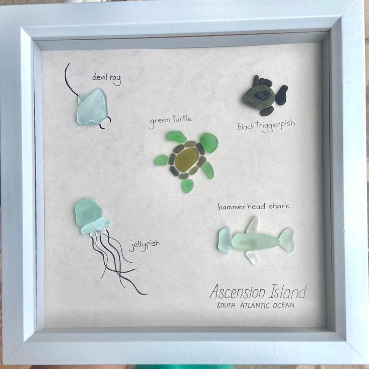 a shadow box frame with sea animals in it