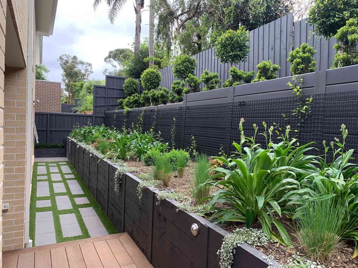 a very nice looking garden with lots of plants in the back yard and on the wall