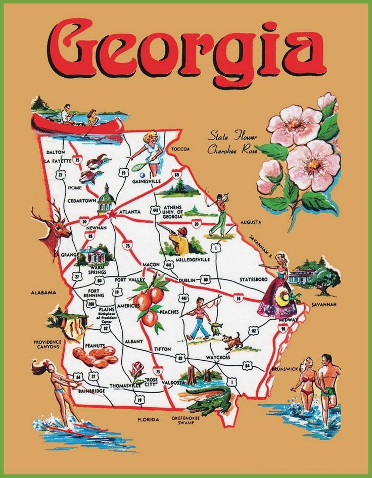 a map of the state of georgia with people and flowers on it's side