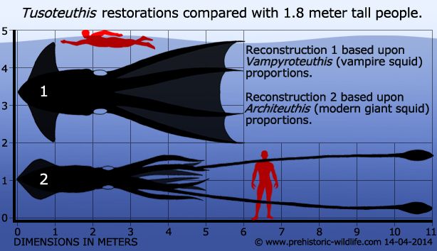 an image of a fish and man in the water with text describing how to use it