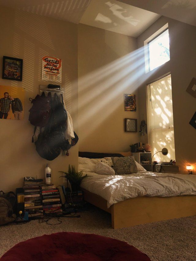 a bed room with a neatly made bed and sunlight streaming through the window on it