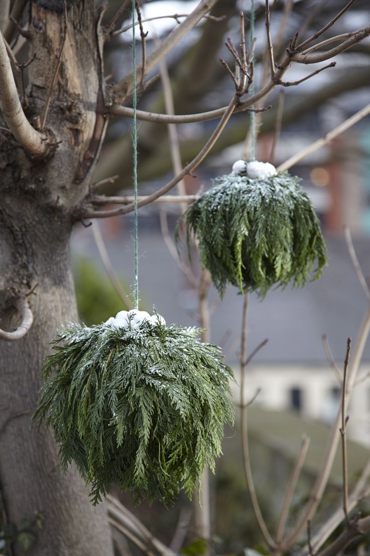 two ornaments hanging from a tree with snow on them and some branches in the foreground