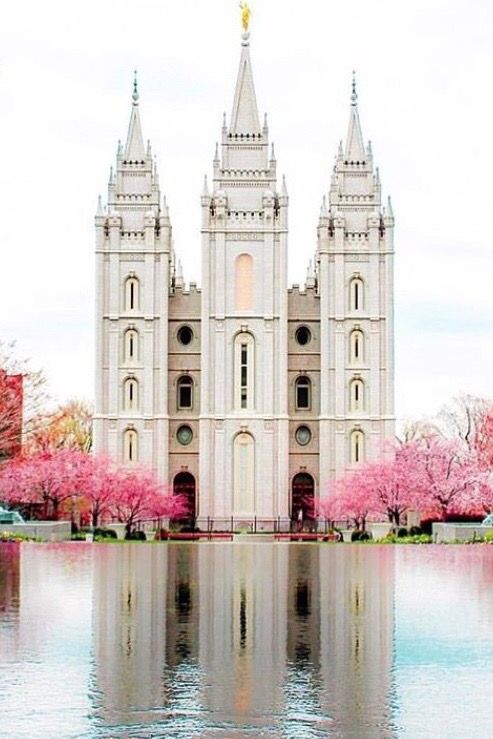 the salt lake temple is surrounded by pink trees