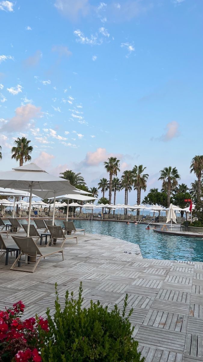 an empty swimming pool with lounge chairs and palm trees in the backgrouds