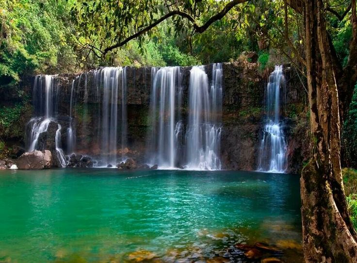 a large waterfall in the middle of a forest filled with trees and green water surrounded by greenery