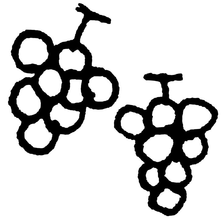 black and white drawing of two grapes