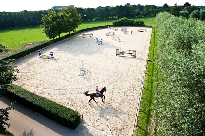 an aerial view of a horse and rider riding on the sand in a fenced area