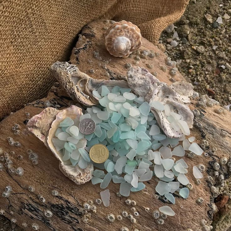 sea glass is sitting on top of a piece of driftwood