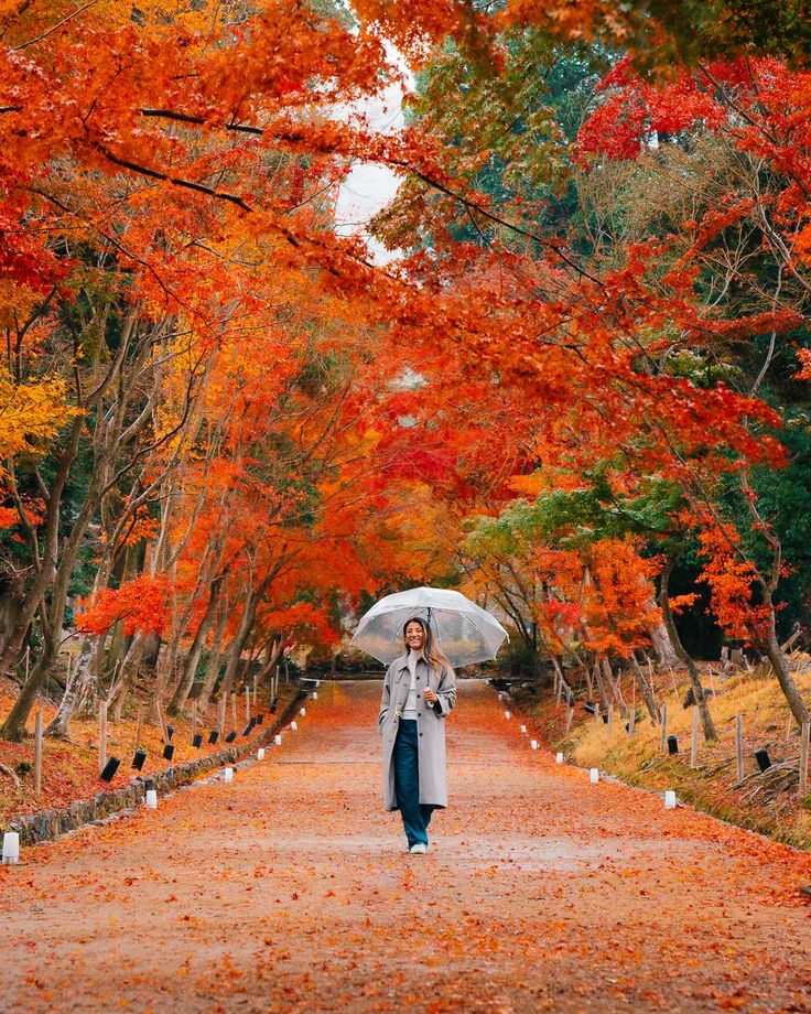 a woman holding an umbrella walking down a road surrounded by trees with orange and red leaves