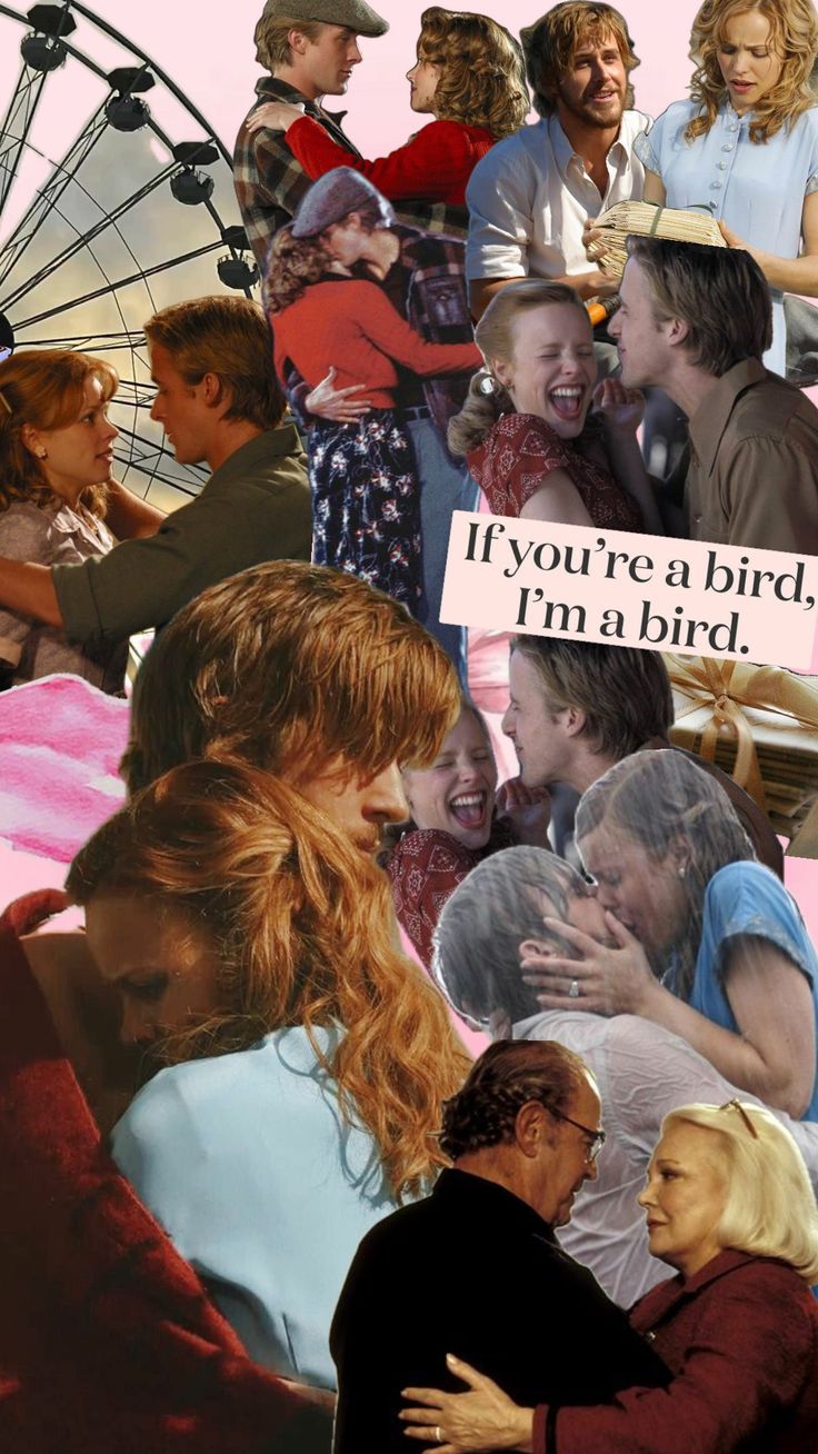 collage of people and words that read if you're a bird, i'm a bird