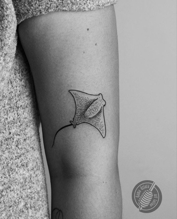 a black and white photo of a stingfish tattoo on the left inner arm,