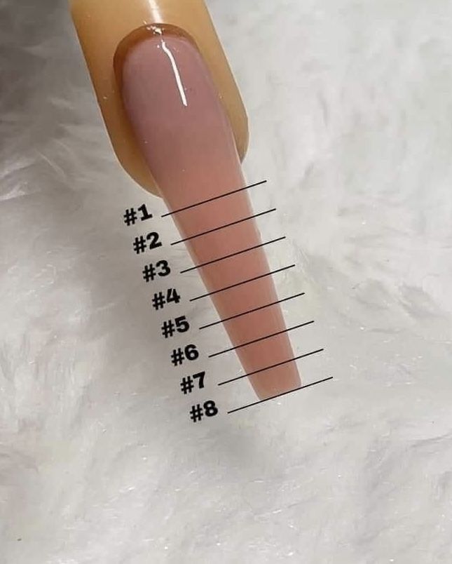 Fake Nail Length Chart, Acrylic Nails Sizes Chart Length, Ballerina Nail Shape Long, Different Lengths Of Nails, Acrylic Nail Sizes Chart Length, Square Nail Lengths, Different Nail Shapes And Lengths, Nails Length And Shape, Long Acrylic Nails Ballerina Shape