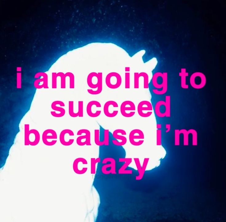 i am going to success because i'm crazy texting on the back of a horse