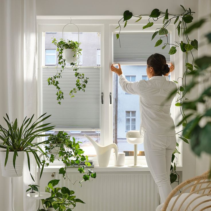 there are many plants in the window sill