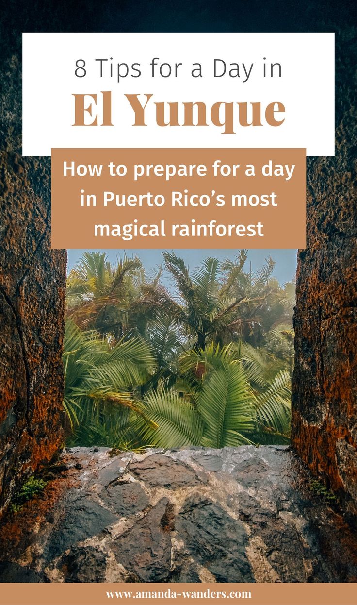 an entrance to a tropical rainforest with text overlay that reads 8 tips for a day in el mundoe how to prepare for a day in puerto rico's most magic rainforest