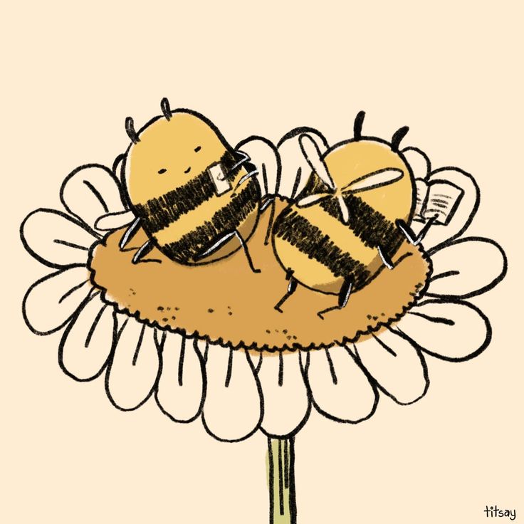 two bees sitting on top of a flower with their heads touching each other's chests