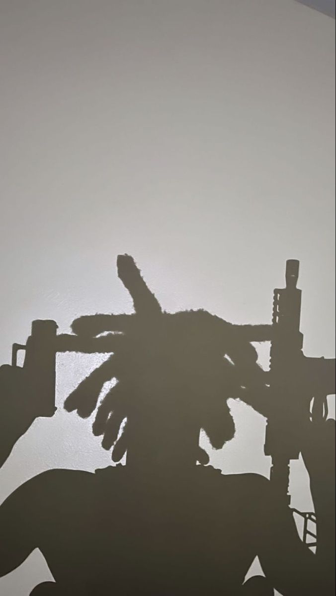 the shadow of a person with dreadlocks on their head and arms, against a gray sky