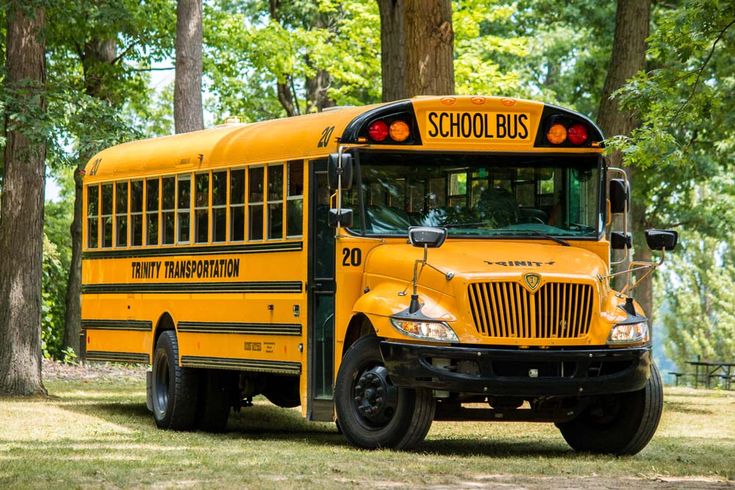 a yellow school bus parked in the grass