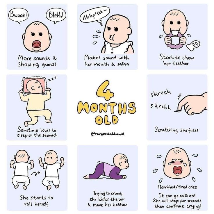 the stages of baby's development