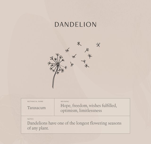 a dandelion with the words hope, freedom, wish - filled, ornament, limitinessness