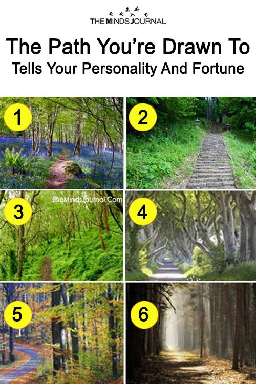 Fun Test: The Path You’re Drawn To Tells Your Personality And Fortune – The Minds Journal Spiritual Test, True Colors Personality, Personality Test Psychology, Personality Psychology, Fun Personality, Fun Test, Mindfulness Journal, Fun Quiz, Personality Quizzes