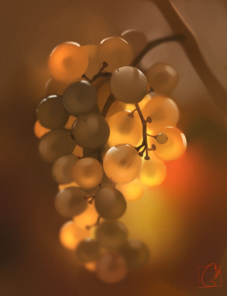 a bunch of grapes that are hanging from a branch with some lights on them in the background