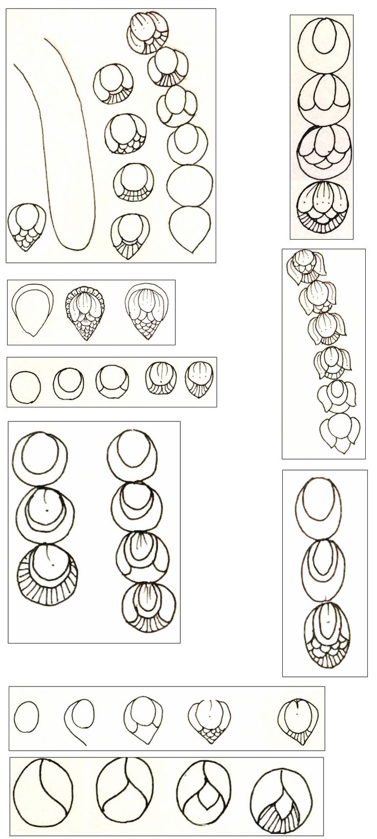 an image of different types of rings and shapes in the form of circles on paper