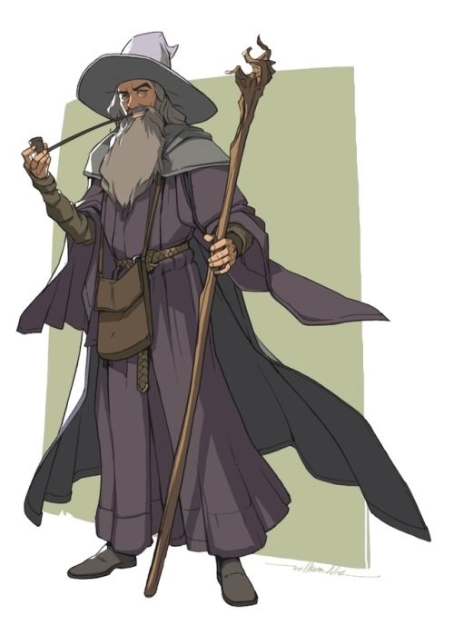 an old wizard with a staff and hat