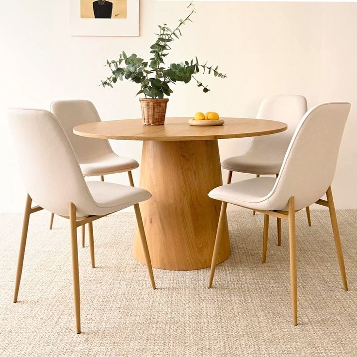 a round table with four chairs around it and a potted plant in the center