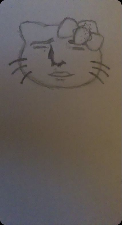 a drawing of a cat's face with a mouse on its head, drawn in pencil