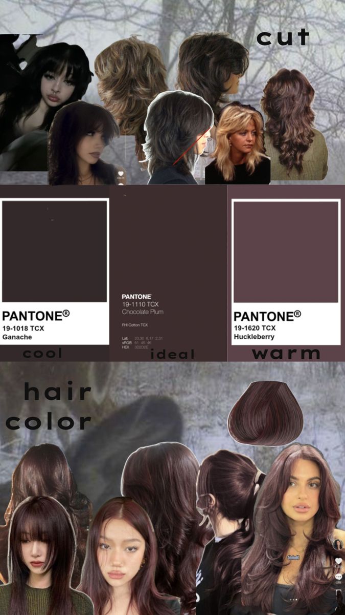 vaguely plum brown hair chocolate plum brown merlot faded desaturated brown Brown Plum Hair, Plum Brown Hair Color, Brown Hair Chocolate, Plum Brown Hair, Warm Hair Color, Plum Hair, Hair Color Chart, Hair Inspo Color, Brown Hair Colors