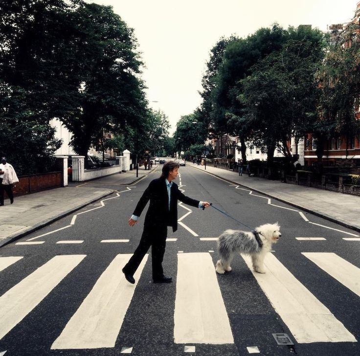 a man is walking his dog across the street