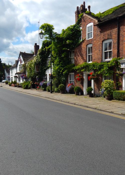 an empty street lined with brick buildings and green plants on the side of each building