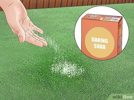 a box of baking soda sitting on top of a green grass covered field next to a person's hand