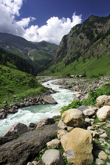 a river running through a lush green valley surrounded by rocks and grass with mountains in the background